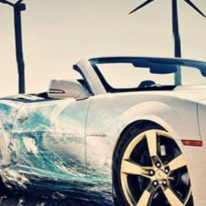 Meet your Posher, Bailey